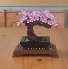 LEGO® Bonsai Tree (10281) 