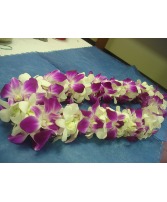 Lei or  Others Graduations
