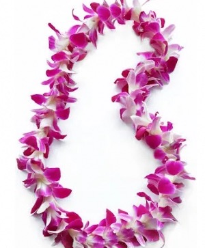 Graduation Lei’s  Lei’s 