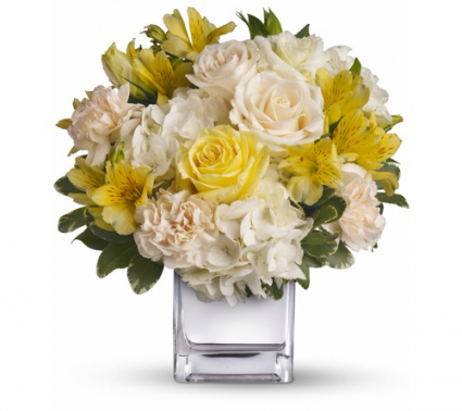 Lemon delight pleasant arrangement