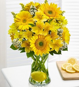 Lemon Love in Fair Lawn, NJ | Dietch's Florist Lemon Love in Fair Lawn, NJ | Dietch's Florist