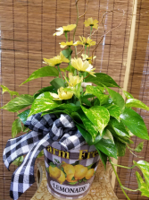 Lemonade Bucket 