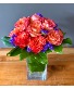 Leon's Roses 