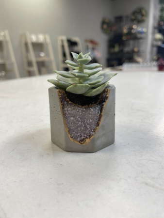 Lepidolite Geode Vessel