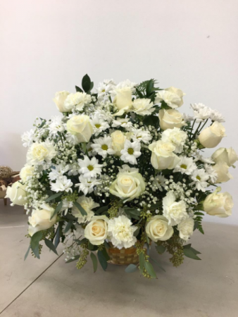 Let be peace Arrangement