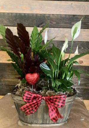 Let Love Grow Live plant basket