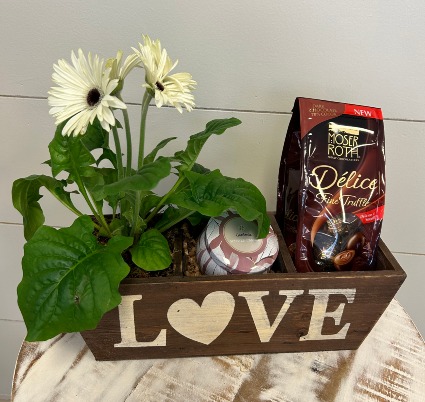 Let Love Grow Plant and Gift Trio 