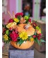  Leticia's Pumpkin Patch Thanksgiving