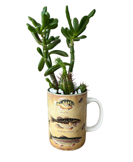 Let's Go Fishin Succulent Garden