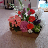 lets go garden all occasion