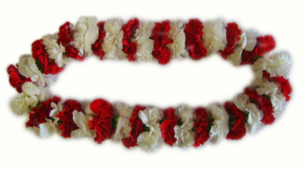 Carnation Graduation Hawiian Lei