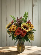 Let's Go to the Sunflower Patch 