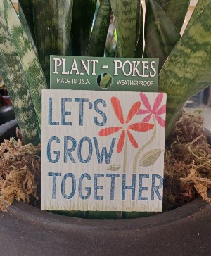 Let's Grow Together Plant Stake 