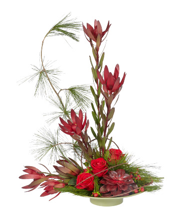 Leucodendrum and Rose Delight  Arrangement in Port Stanley, ON | Flowers By Rosita