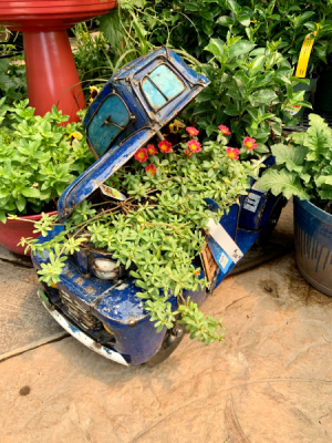 Licensed Ford Truck Planter Cooler Patio Planter or Cooler in Balsam Lake, WI | BALSAM LAKE PRO-LAWN INC. Licensed Ford Truck Planter Cooler Patio Planter or Cooler in Balsam Lake, WI | BALSAM LAKE PRO-LAWN INC.