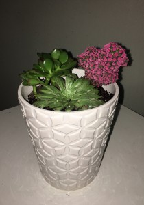 Life begins the day you start a Garden in Toccoa, GA | TARA'S "HAPPIES" FOR YOU FLORAL & GIFT SHOP Life begins the day you start a Garden in Toccoa, GA | TARA'S "HAPPIES" FOR YOU FLORAL & GIFT SHOP