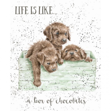life is like a box of chocolates card 