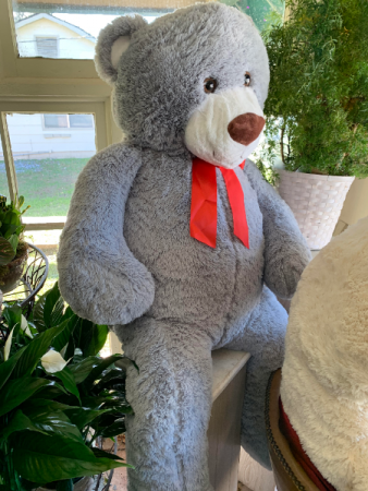 Life Size Super Large Cuddly Bear