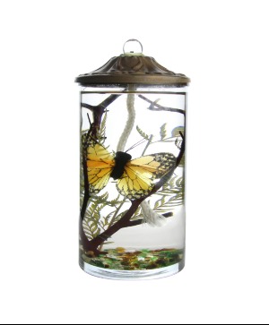 Lifetime Candle - Monarch Butterfly Cylinder 