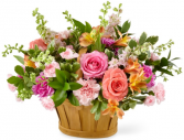 Lift Me Up Basket