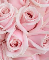 Valentine’s Day Roses Light Pink