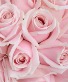 Valentine’s Day Roses Light Pink