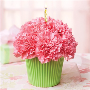 Light Pink Cupcake in Bloom Birthday Flowers