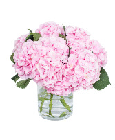 Light Pink Hydrangea  Bouquet