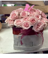 Light pink princess  Roses