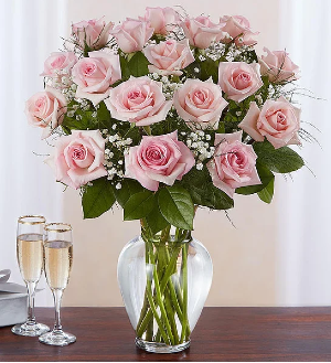 Light Pink Rose Elegance Roses