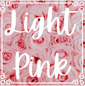 Light Pink Roses 