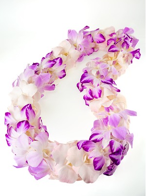 Light Purple Lei 