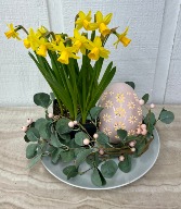 Light Up Ceramic Egg and Tete-aTete Daffodils 