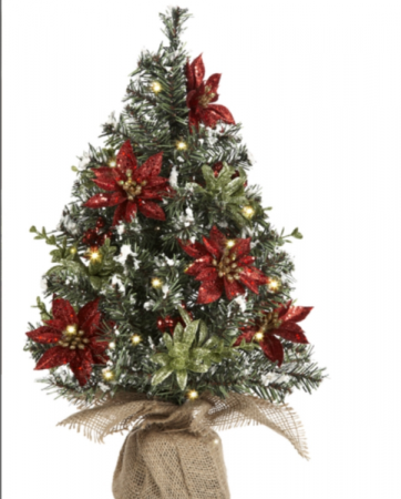 Light up Evergreen Tree with Poinsettias