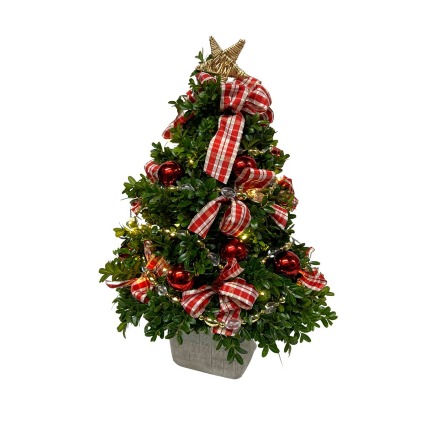 Lighted Boxwood Tree 