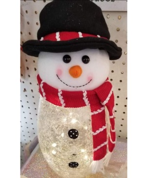 Lighted Frosty Snowman 