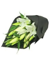 Lilies Wrapped - WHITE 