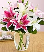 Liliies for someone special Vase Arrangement