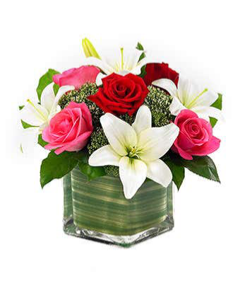 Lilly love / limited supply