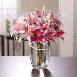 Lily Dream Vase Arrangement