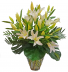 Lily Love Lilies with a tropical flair