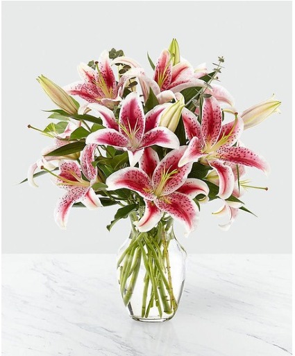 Lily Lover Flower
