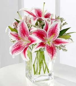 Lily pink for you  Thomaston florist & Greenhouse 