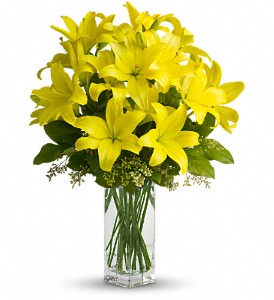 Lily Sunshine - 140 Vase Arrangement