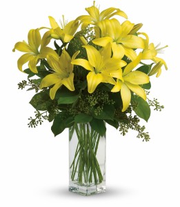 Lily Sunshine H1402A