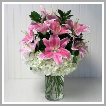 Lily Supreme