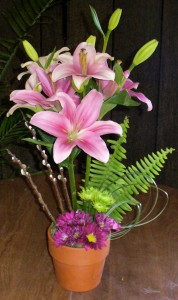 Lily Topiary in a Classic Clay Pot