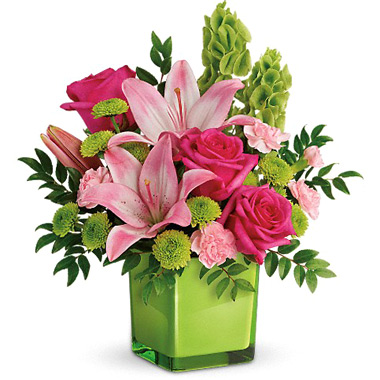 Lime Love Arrangement