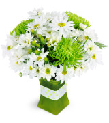 Lime Sublime - 681 Vase arrangement 