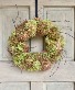 Limelight Hydrangea Wreath  